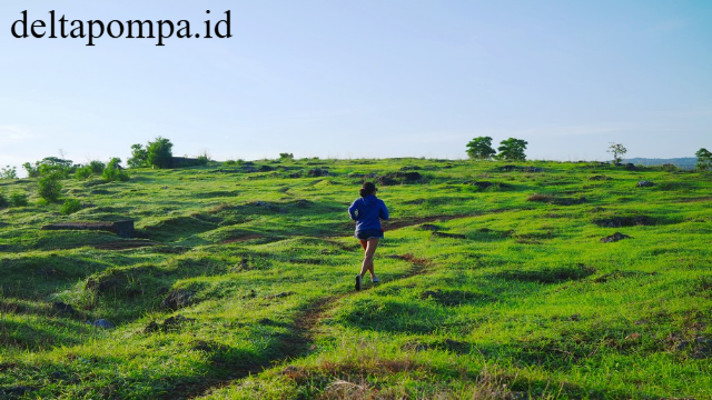 Pesona Bukit Cinta yang Menawan di Kota Kupang