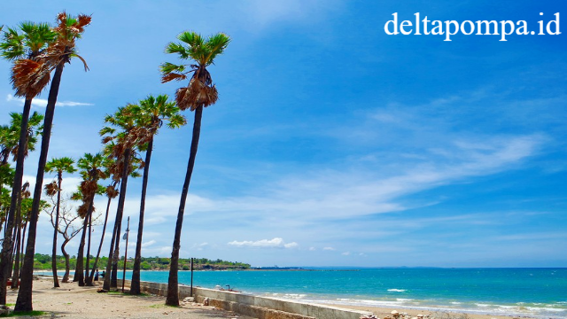 Eksplorasi Menawan Pantai Lasiana