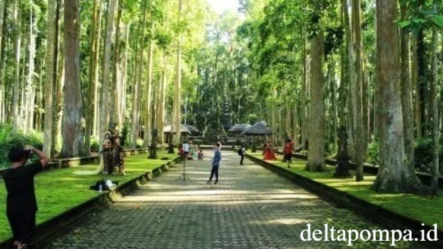 Mengenal Sangeh Monkey Forest Perpaduan Alam Satwa