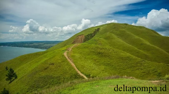 Bukit Holbung Samosir Pesona Hijau dengan View Danau Toba