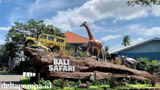 Petualangan Seru Bersama Satwa di The Amazing Taman Safari Bali