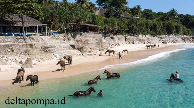 Keindahan Pulau Sumba Dari Nihiwatu hingga Tradisi Pasola