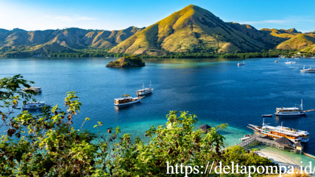 Pesona Taman Nasional Komodo